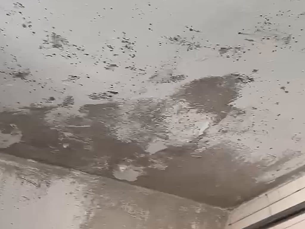 Cielo de baño con manchas de humedad, pintura suelta y puntos de hongos en el encuentro con el muro, antes de tratarlo y pintarlo