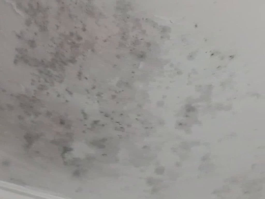 Hongos negros extendidos por el cielo de un baño, antes del tratamiento